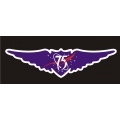 Naca Aircraft Decal/Sticker 12''w x 3.25''h!